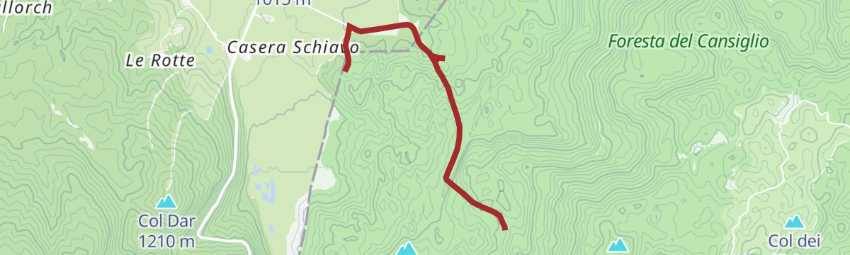 Cansiglio among beech, deer and history